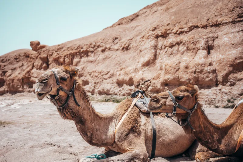 Excursion privée et circuit depuis Marrakech