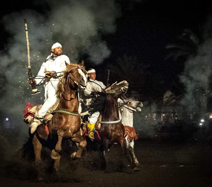 Chevaux arabes fantasia Chez Ali Marrakech